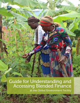 GEF_Guide_BlendedFin2020