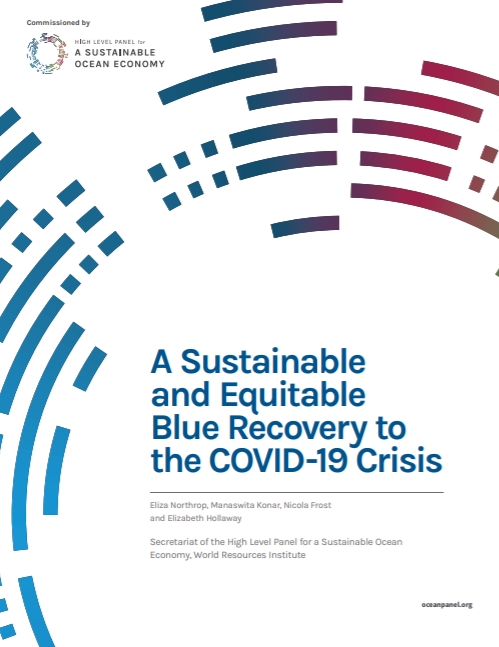 A Sustainable and Equitable Blue Recovery to the COVID-19 Crisis_High-Level Panel for a Sustainable Ocean Economy.jpg