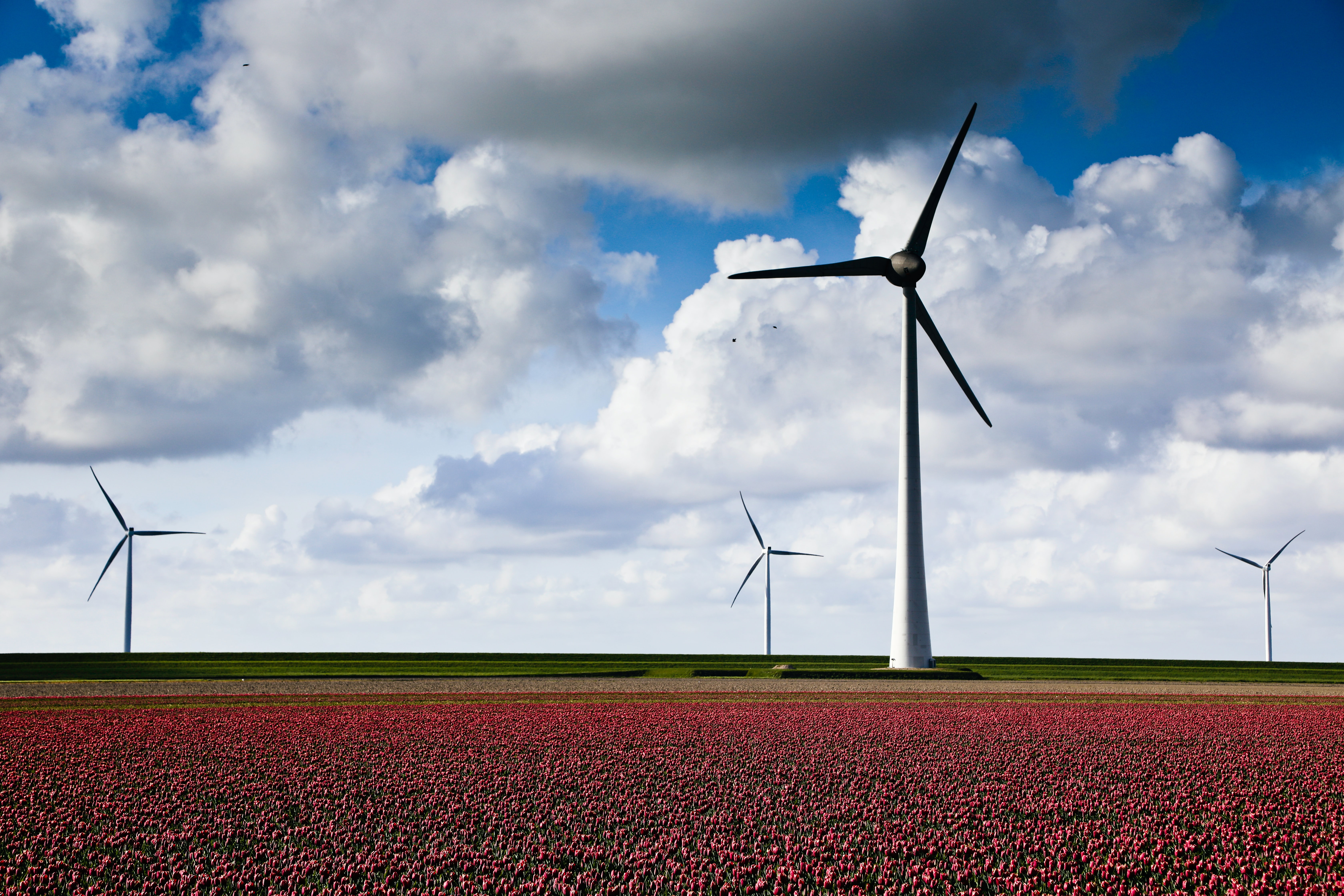 Photo by Aniek Wessel on Unsplash