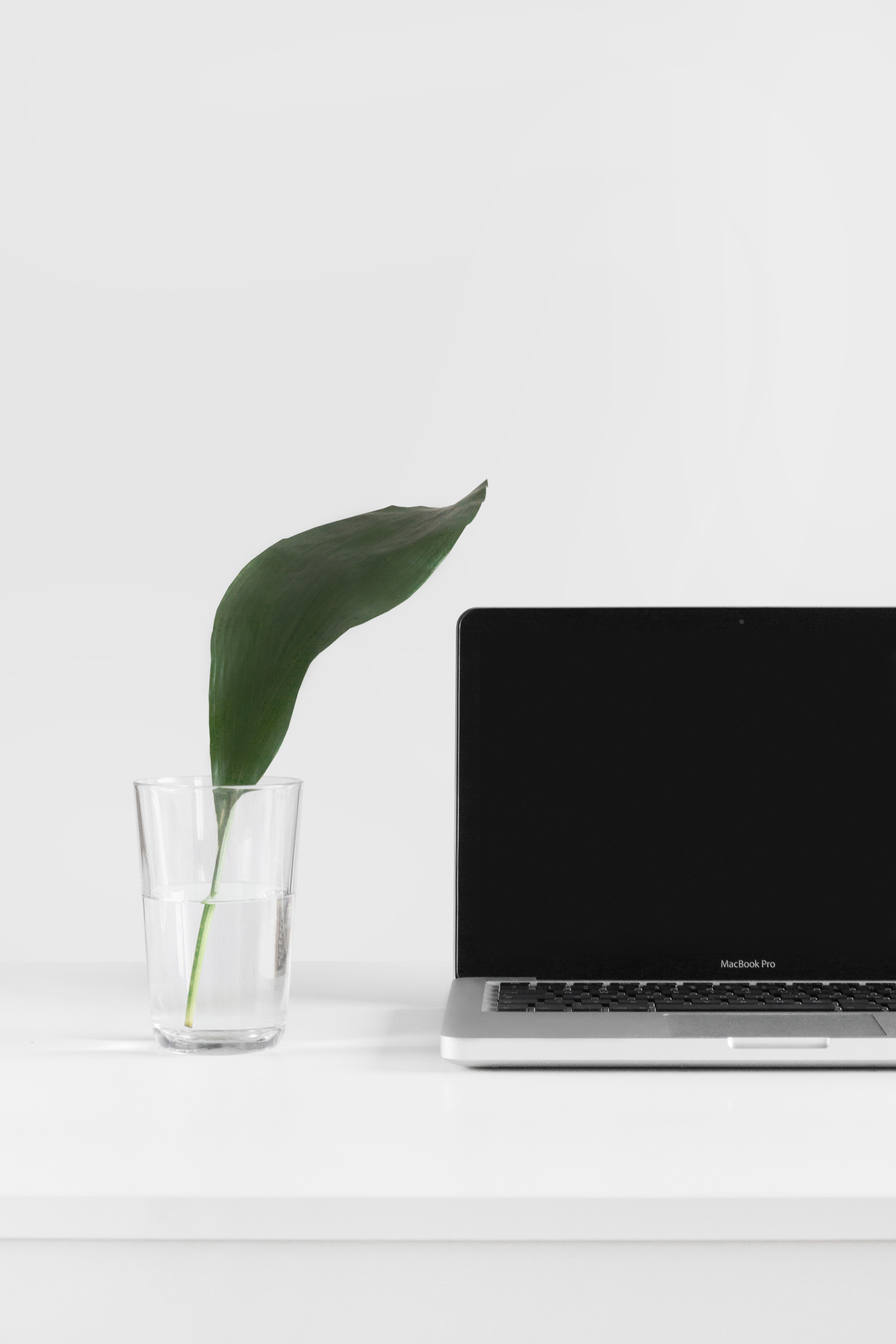 Photo by Sarah Dorweiler on Unsplash