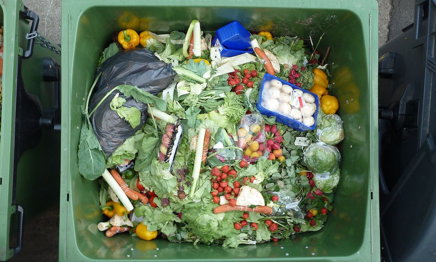 1600px-Treasure_trove_of_wasted_food.jpeg