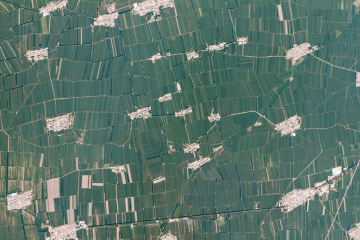 Agriculture_in_China.PNG