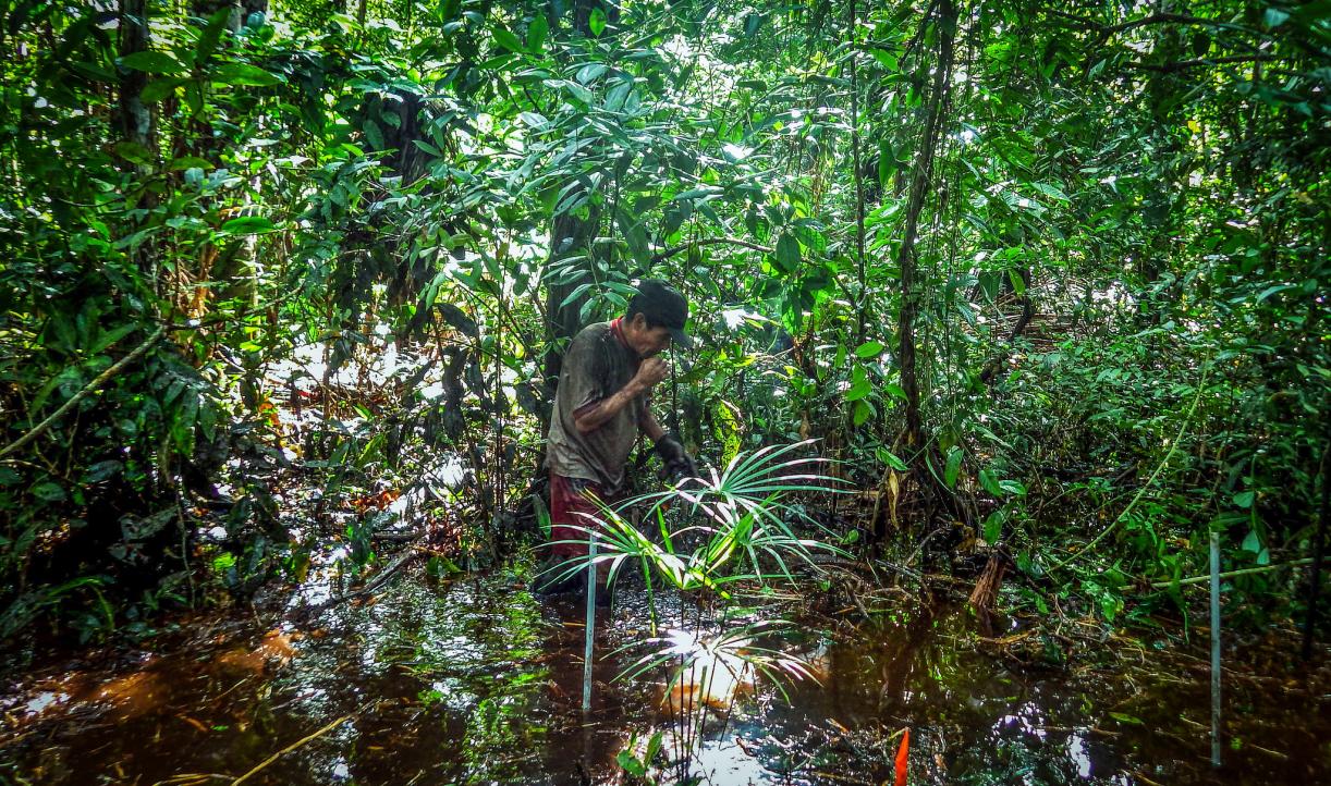 Peru_wetland_restoration.jpg