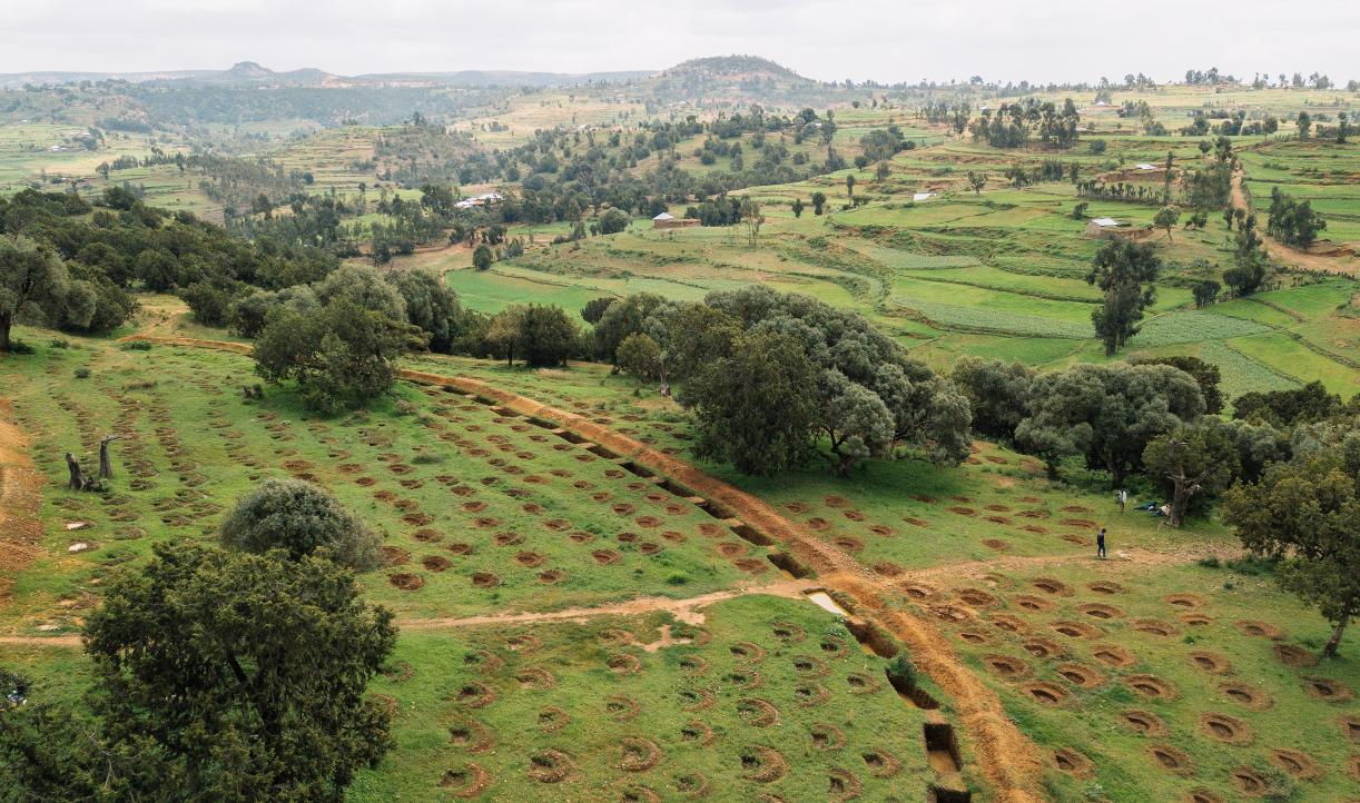 cover-ethiopia-mosaic.jpg