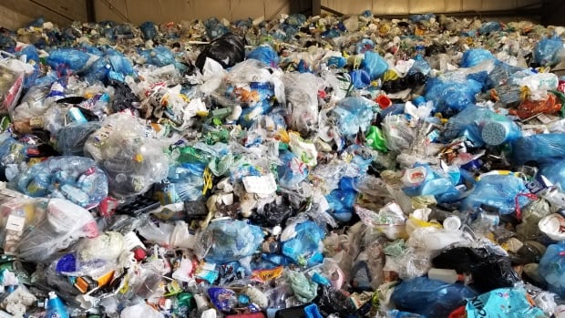 garbage-fredericton.jpg