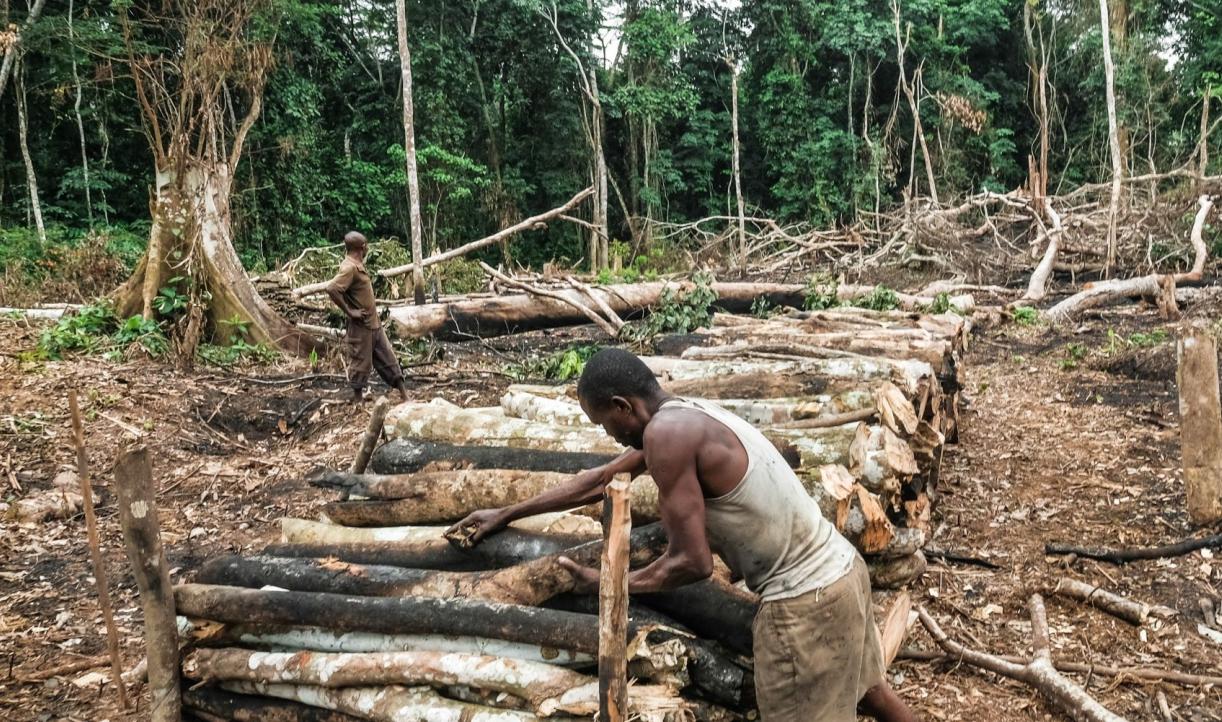 informal-charcoal-production-drc-axel-fassio-cifor.jpg