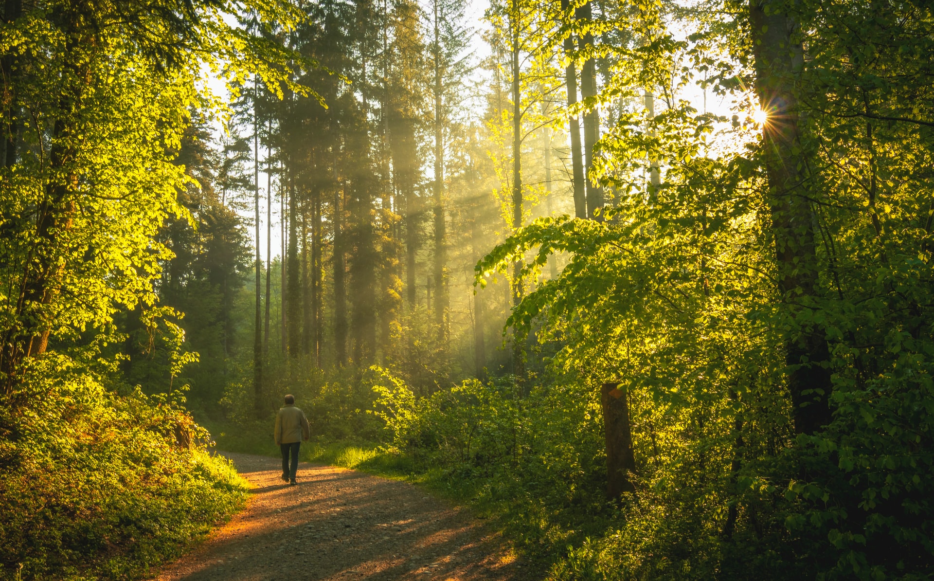 jan-huber-EWzWAuS1WYs-unsplash-1.jpg