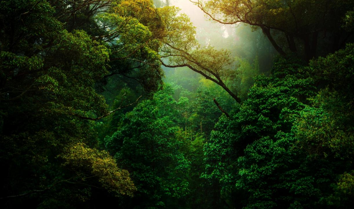 kunal-shinde--f0YLss50Bs-unsplash.jpg