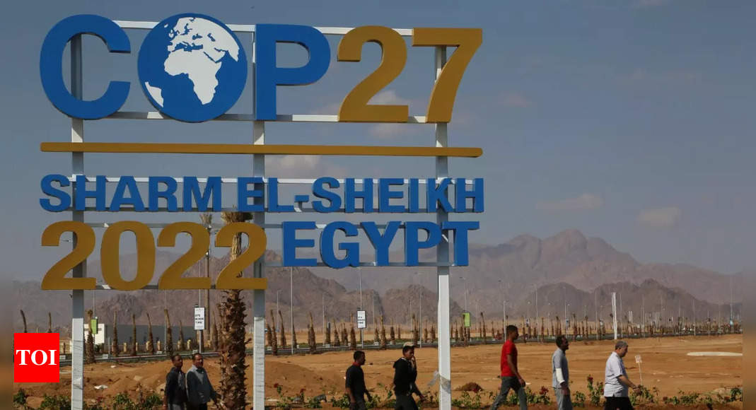 photo.jpg