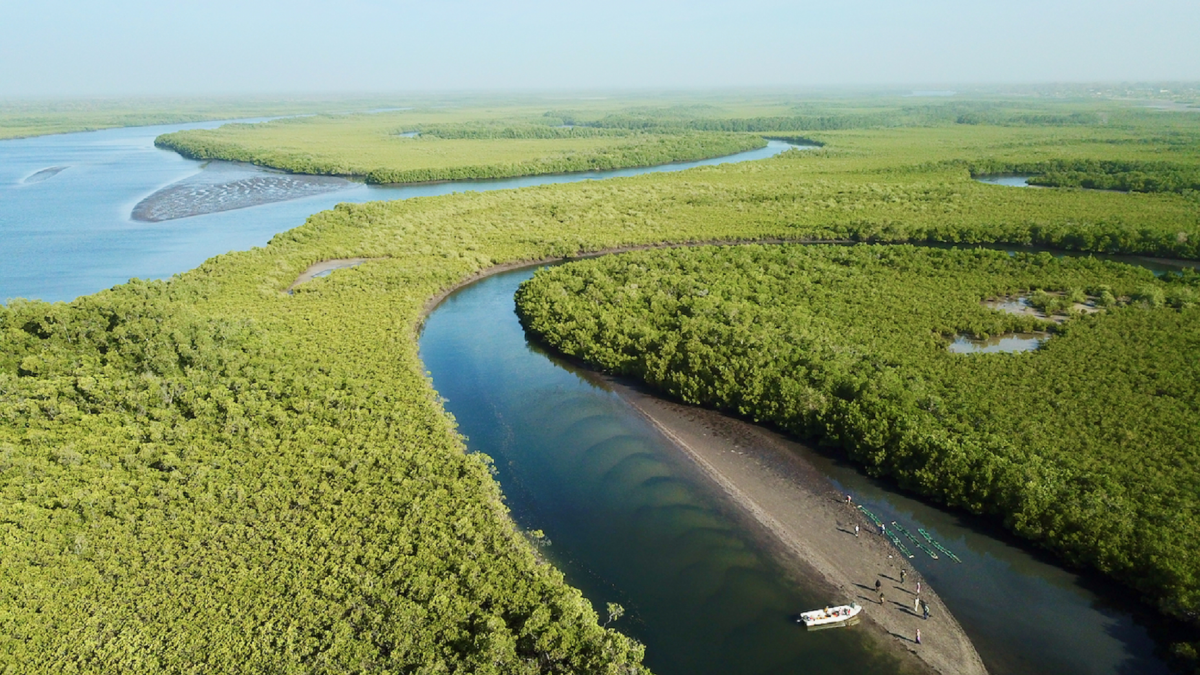 saloum-delta-aerial-view.png