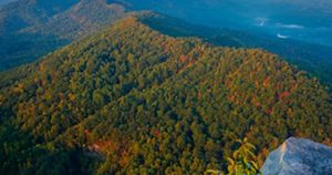 tnc_50616894_Large.jpg