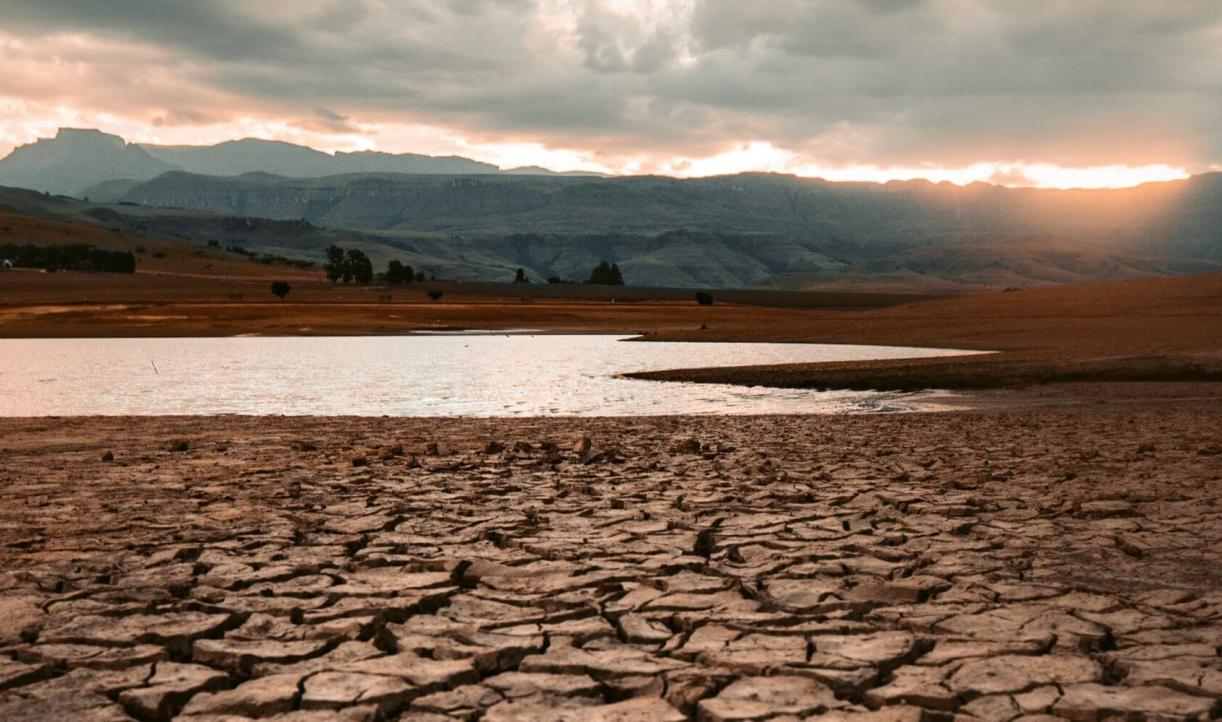 water-stress-drought-redcharlie.jpg