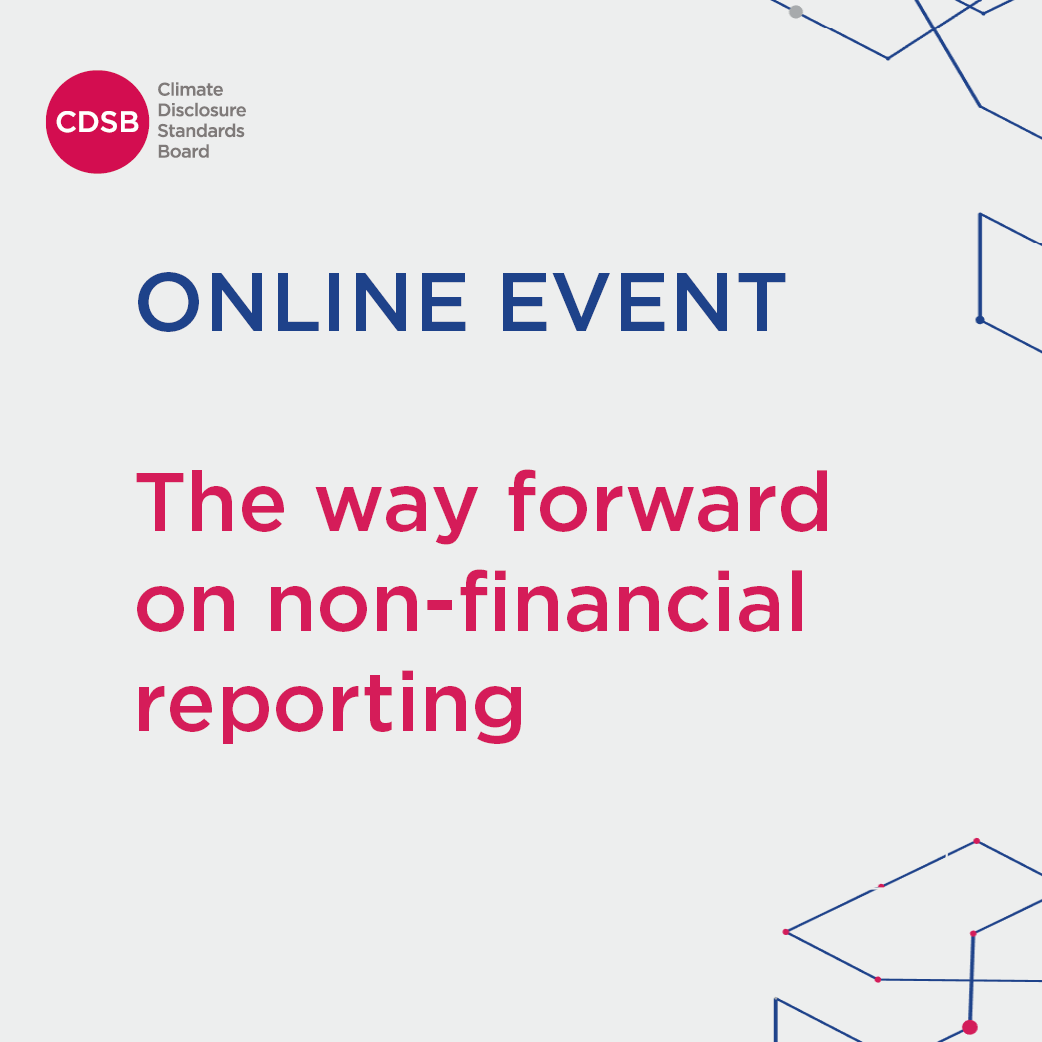 THE WAY FORWARD ON NON-FINANCIAL REPORTING