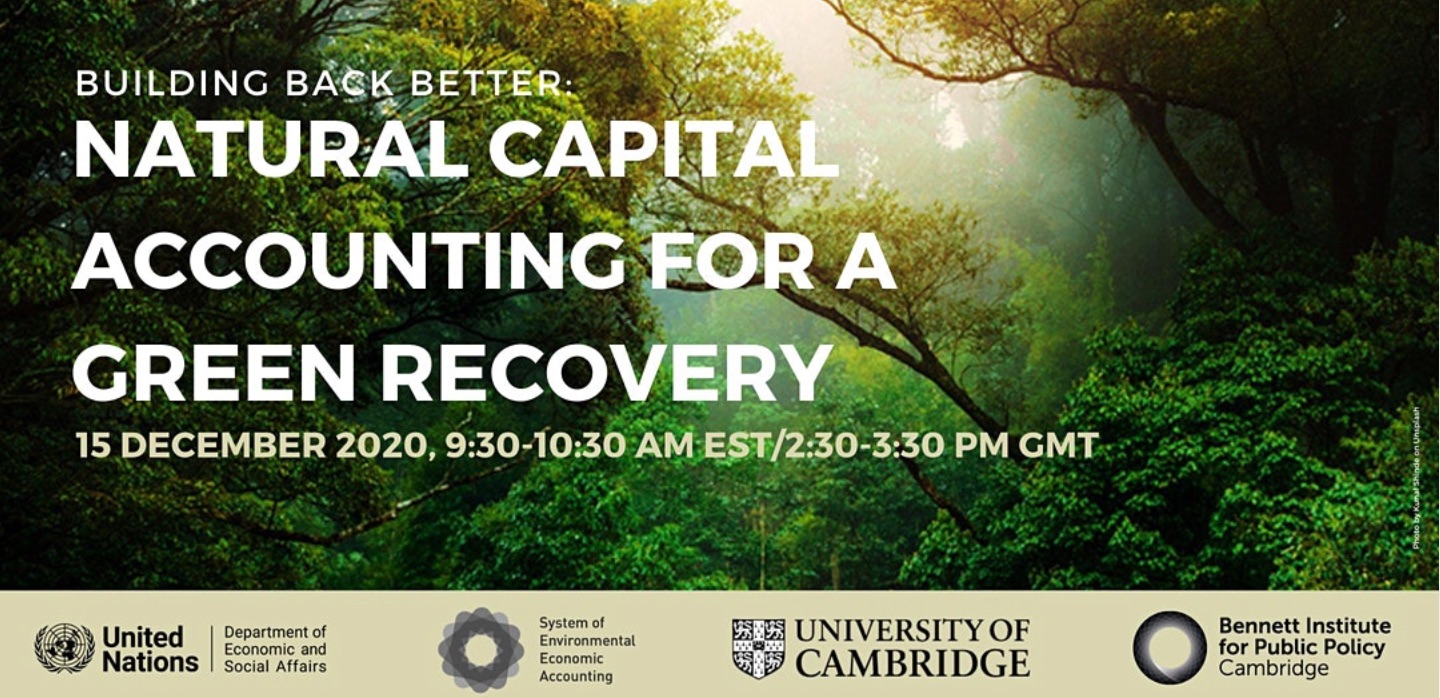 Building Back Better: Natural Capital Accounting for a Green Recovery