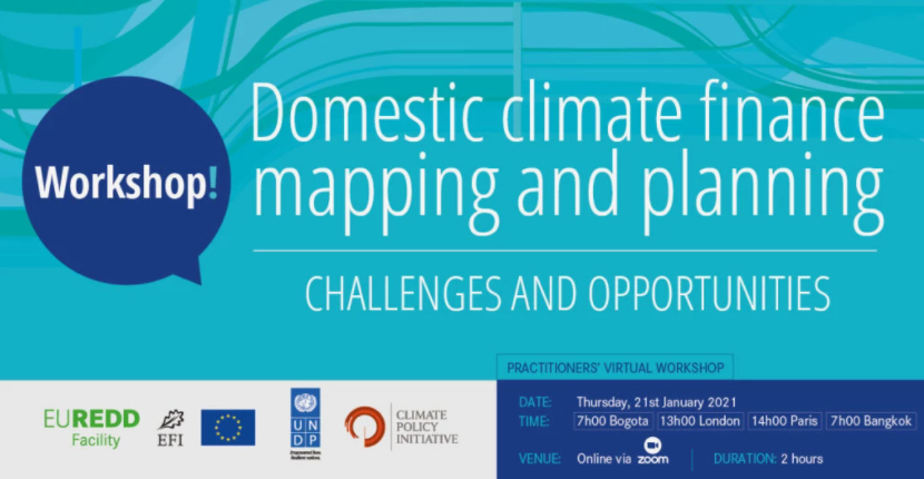 Domestic Climate Finance Mapping & Planning Workshop_ CPI.png Domestic Climate Finance Mapping & Planning Workshop_ CPI.png