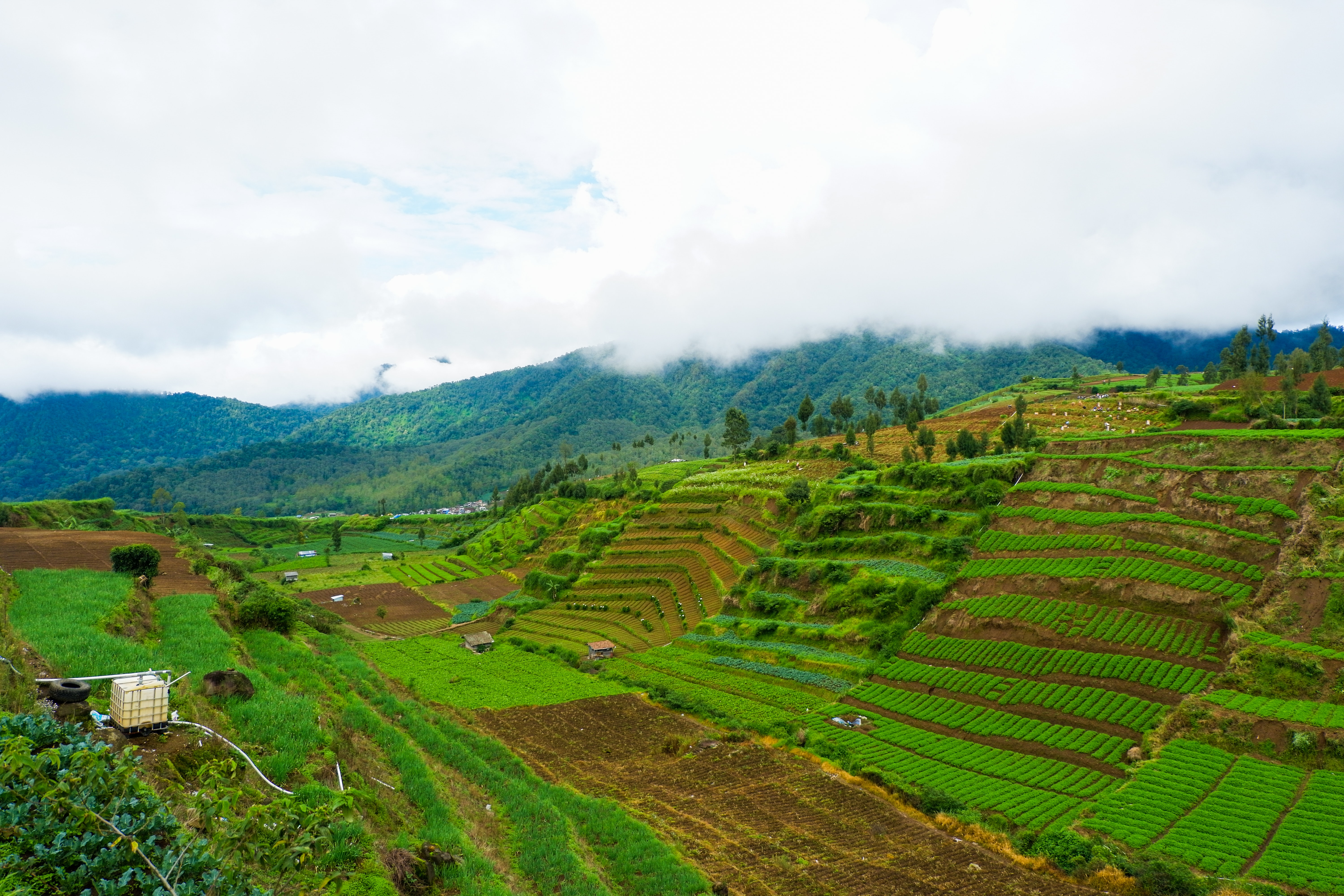 unsplash-landscape-bio