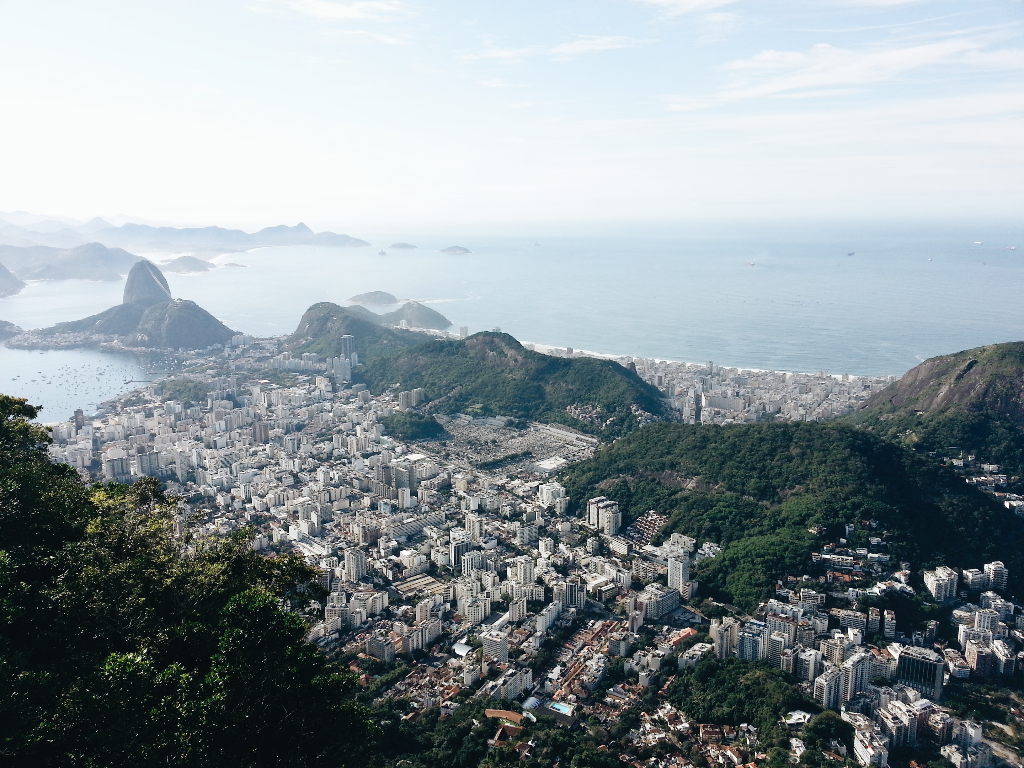Photo by Matheus Torrezan on Unsplash