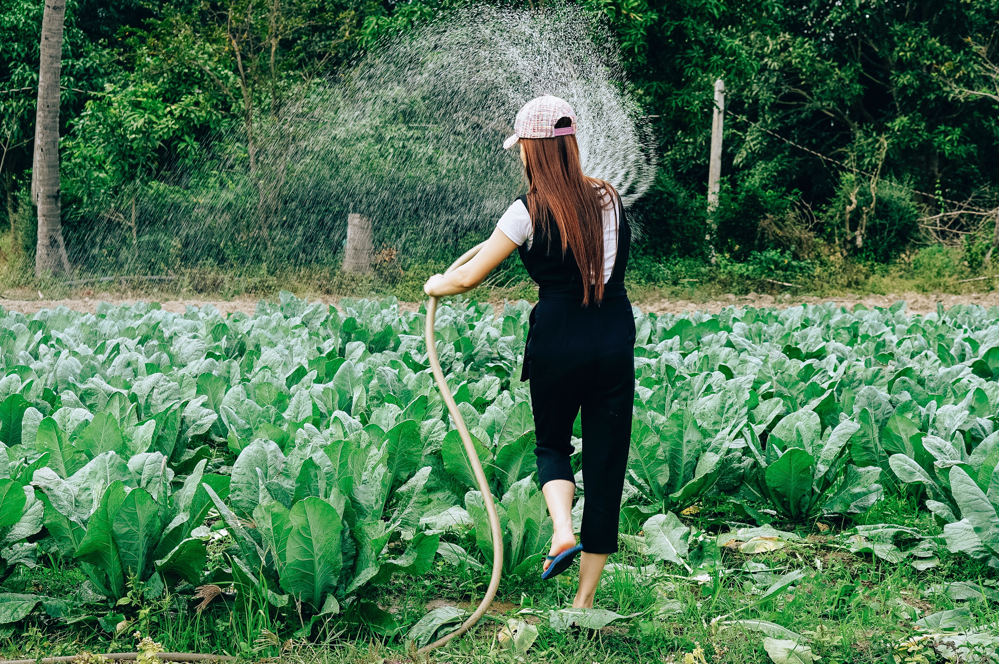 Photo by Tony Pham on Unsplash