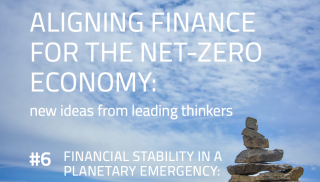 Aligning Finance for the Net-Zero Economy- New ideas from leading thinkers .png