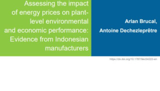 Assessing the impact of energy prices on plant-level environmental and economic performance_OECD.JPG