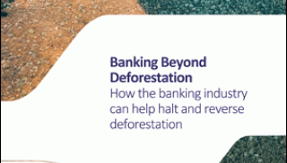 BankingBeyondDeforestation_CISL.gif