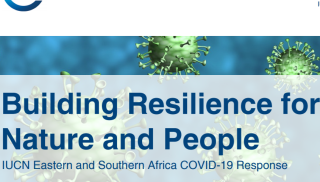 Building Resilience for Nature and People_IUCN.PNG