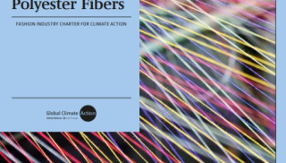 Identifying Low Carbon Sources of Cotton and Polyester Fibers_Global Climate Action.JPG