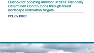 Outlook for Boosting Ambition in 2020 Nationally Determined Contributions through Forest Landscape Restoration Targets_IUCN