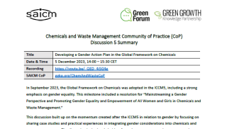 Screenshot Discussion 5 - Developing a Gender Action Plan in the Global Framework on Chemicals