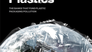 bankrolling-plastics-portfolio-earth.png