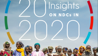 undp-ndcsp-20-insights.png