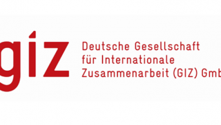 giz logo