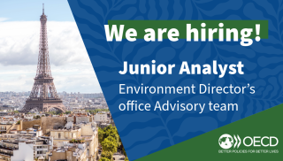 Junior Analyst - Environment Directorate