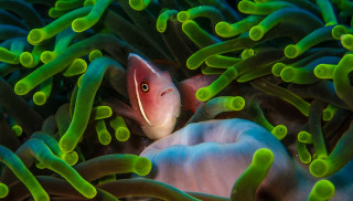 Photo by Benjamin Jones on Unsplash