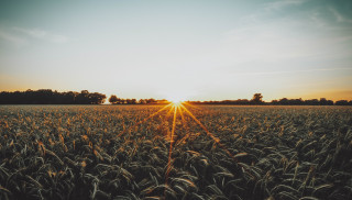 Photo by Tim Hüfner on Unsplash