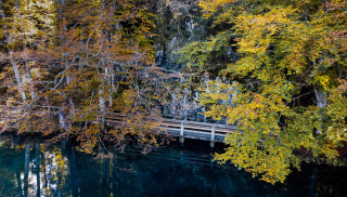 photo by stefan-fOLpsuJ0rMQ-unsplash.jpg