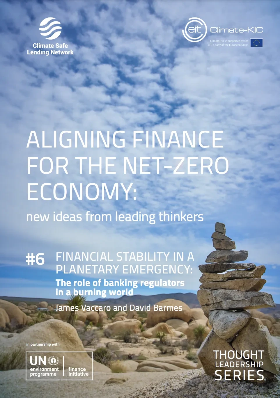 Aligning Finance for the Net-Zero Economy- New ideas from leading thinkers .png