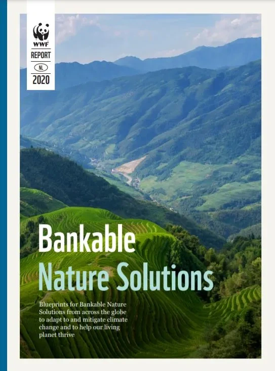 Bankable Nature Solutions_WWF.JPG