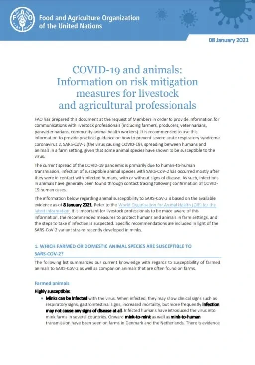 COVID-19 and animals Information on risk mitigation measures for livestock and agricultural professionals_FAO.JPG