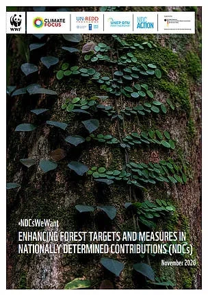 Enhancing Forest Targets and Measures in Nationally Determined Contributions (NDCs)_WWF.jpg