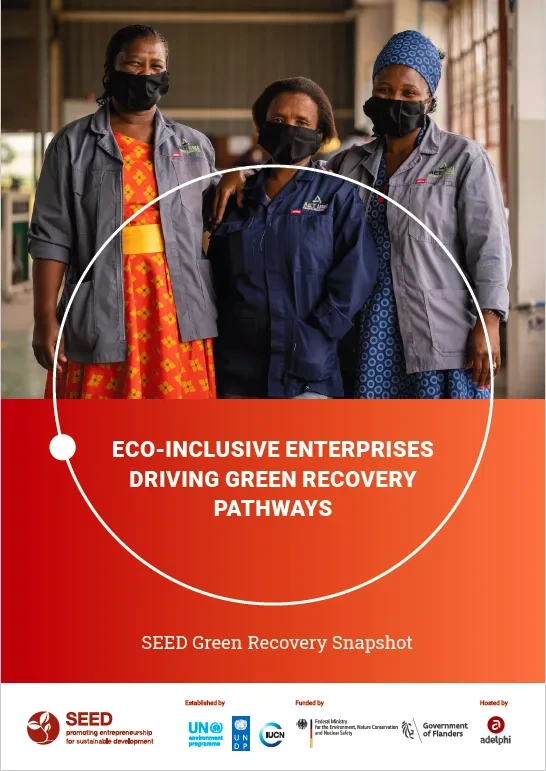 SEED's Green Recovery Snapshot