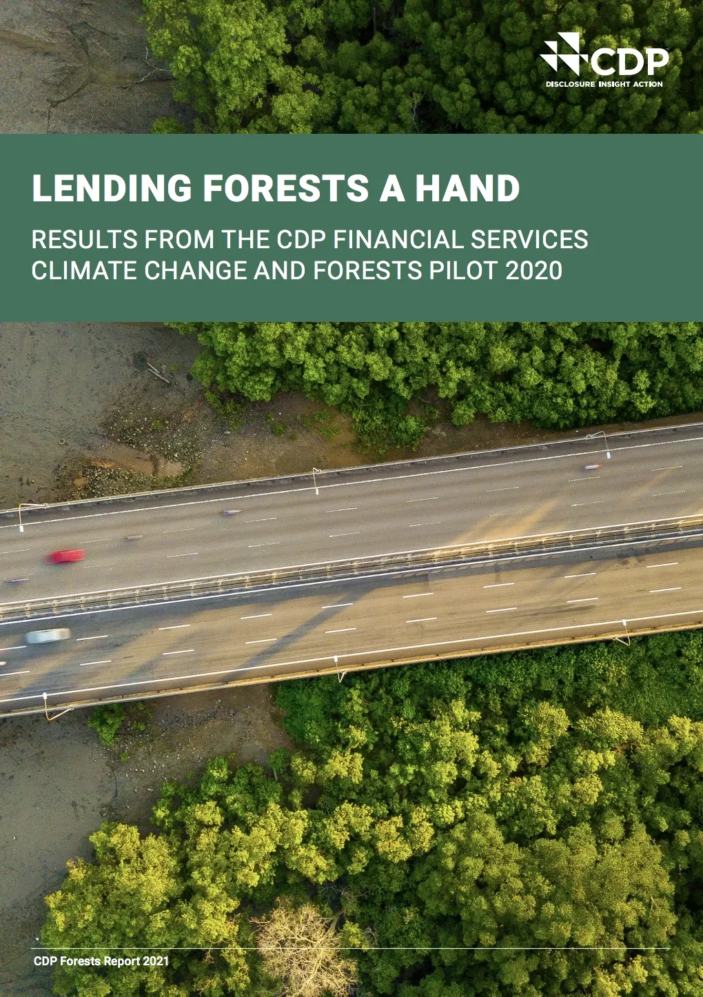 Lending Forests a Hand- Results from the CDP financial services climate change and forests pilot 2020.png