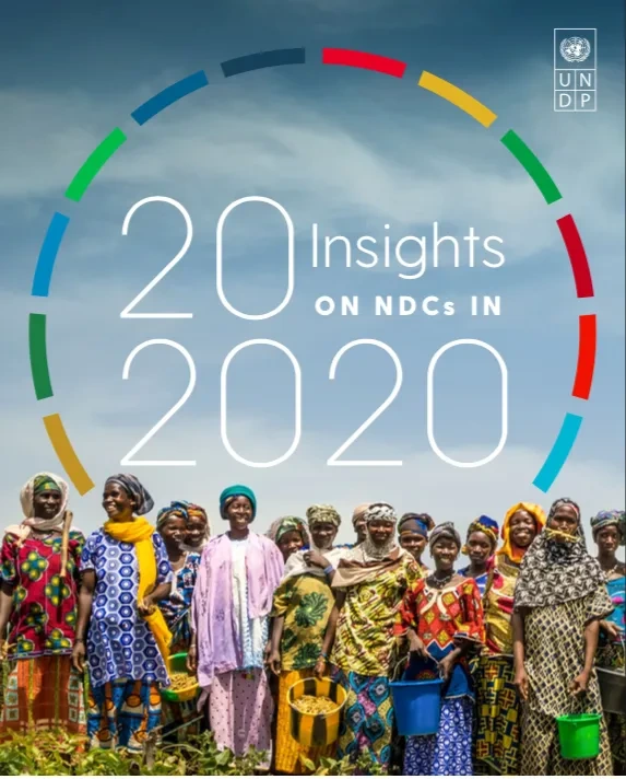 undp-ndcsp-20-insights.png